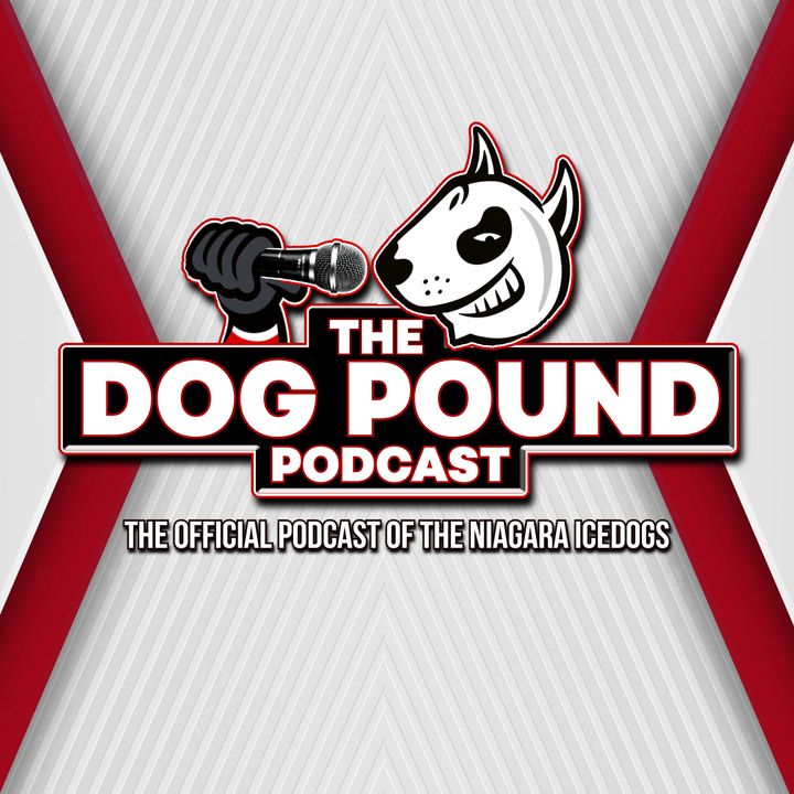 Uphill Climb - IceDogs Monthly Wrap Up Jan 2024 - Dog Pound Podcast