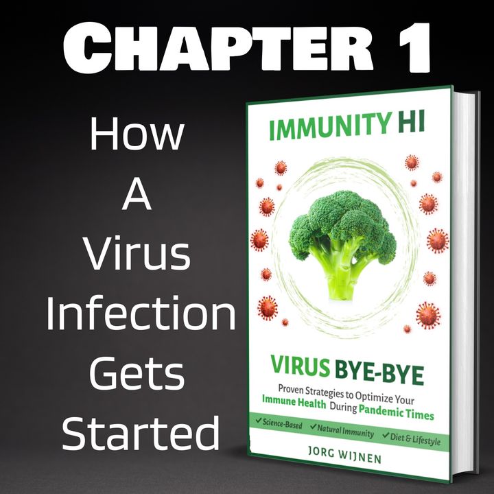 Chapter 1- How a Virus Infection Gets Started (Part 2)