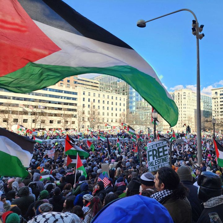 'A permanent ceasefire means a free Palestine!' Voices from the March on Washington for Gaza