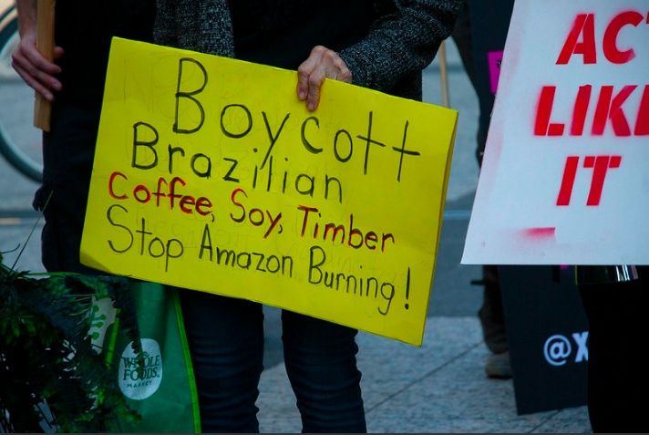 Amazzonia: i fondi d'investimento non abbandonano il Brasile