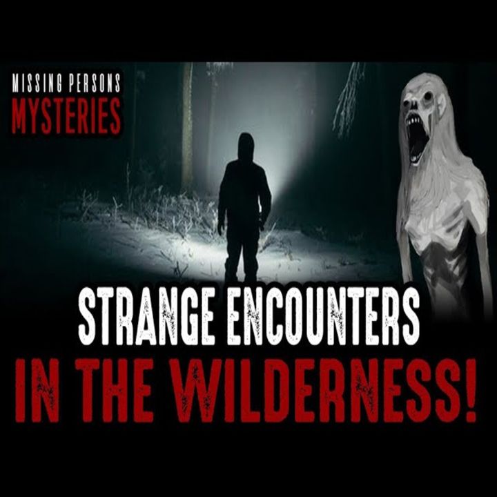 Strange Encounters In The Woods