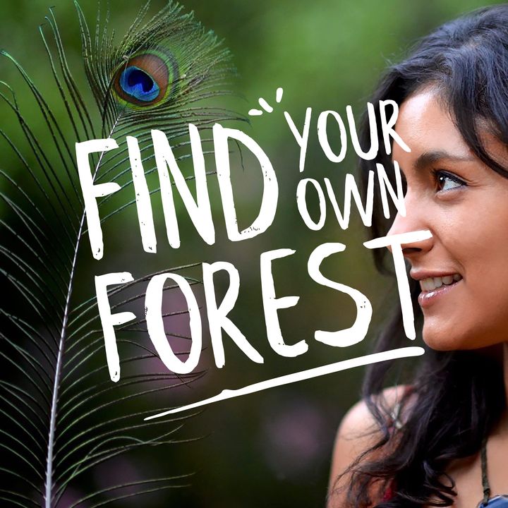 Find Your Own Forest