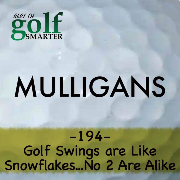 Golf Swings are Like Snowflakes: No 2 Are Alike with Jeff Ritter