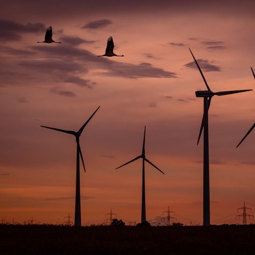 ¿Impactos ambientales de las renovables? Sí, también los tienen; con Jon Domínguez | El Podcast de la Energía #02