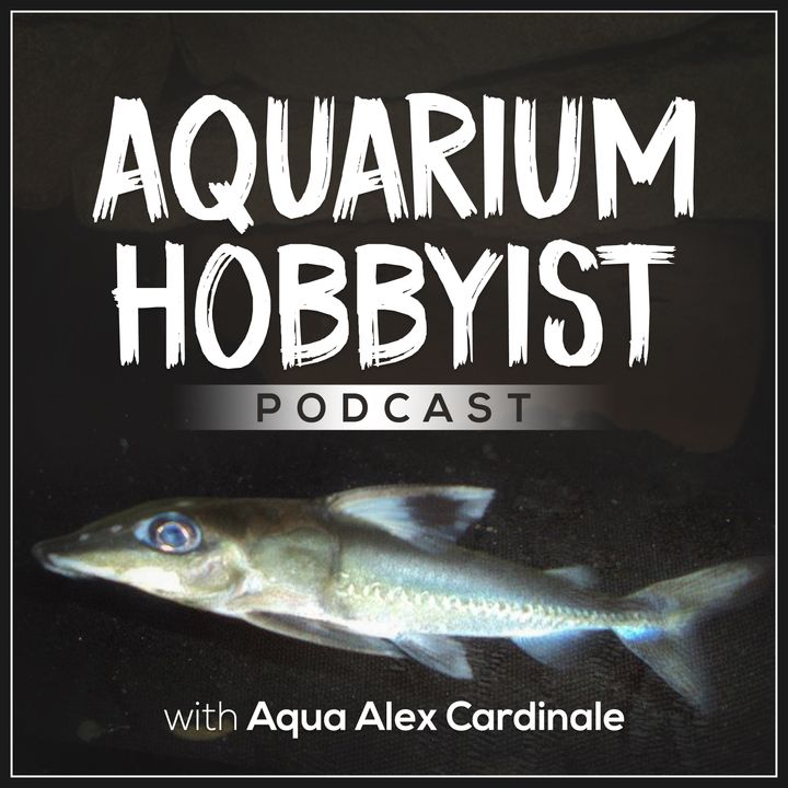 Aquarium Hobbyist Podcast