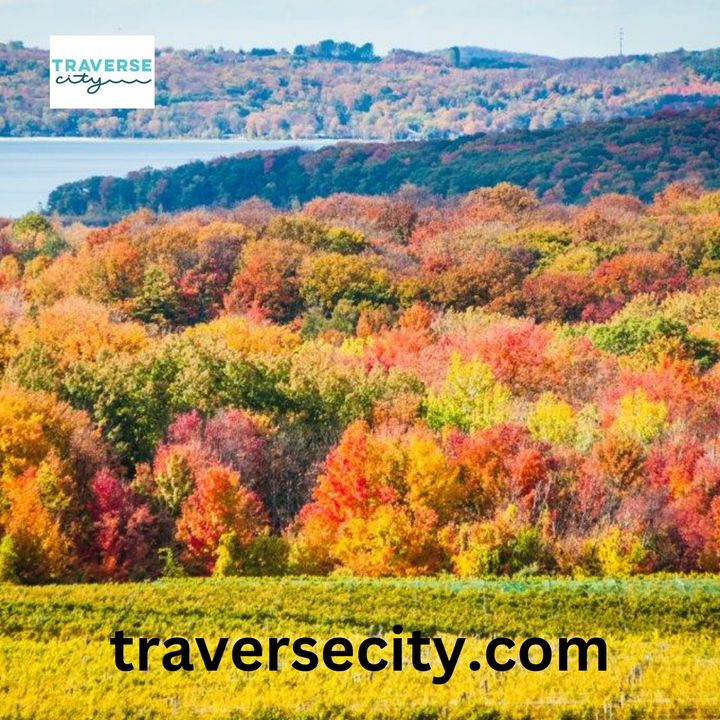S5,E41: Trails, wineries, shopping, Beer Week - why Traverse City is the perfect fall destination (Oct. 14-15, 2023)