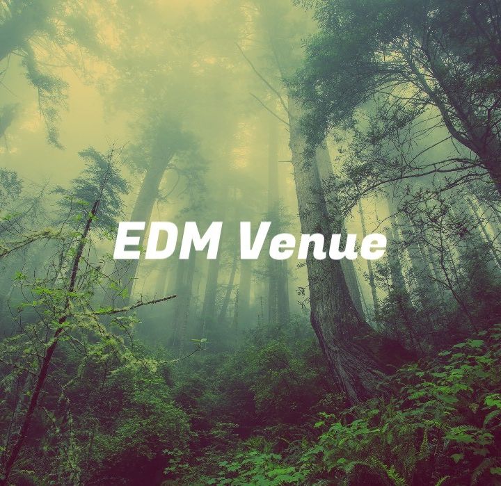 EDM Venue
