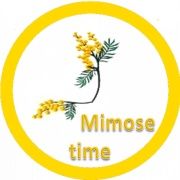 Mimose Time