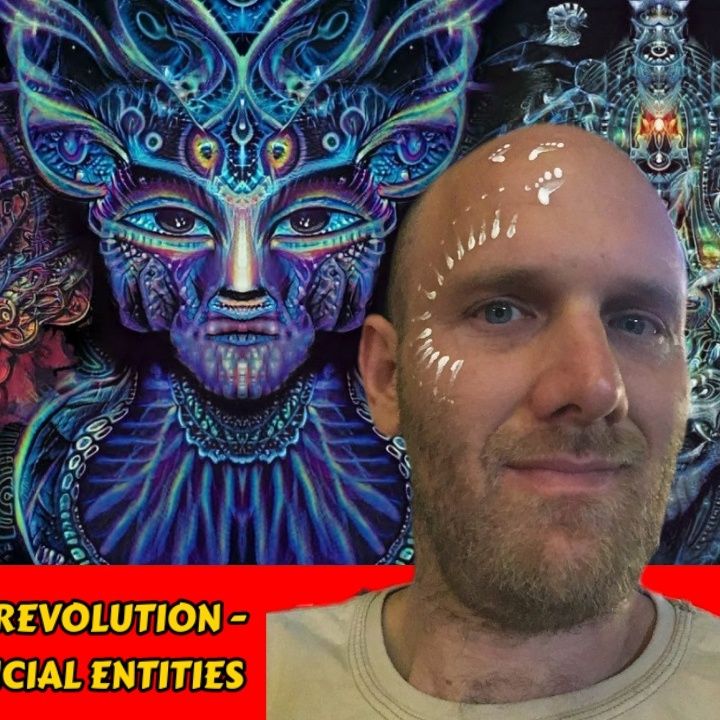 Consciousness Evolution Revolution - Innerverse Beings & Artificial Entities | Julian Palmer