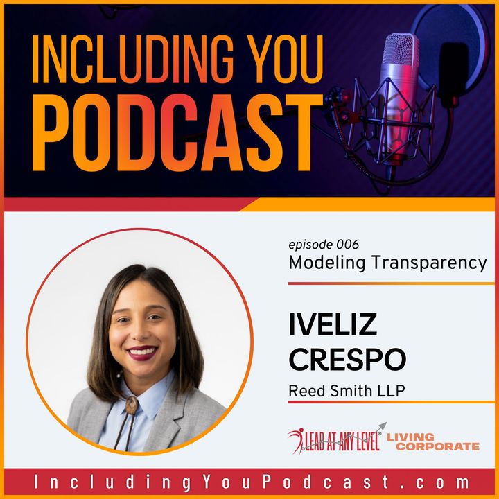 Including You : Modeling Transparency (w/ Iveliz Crespo)