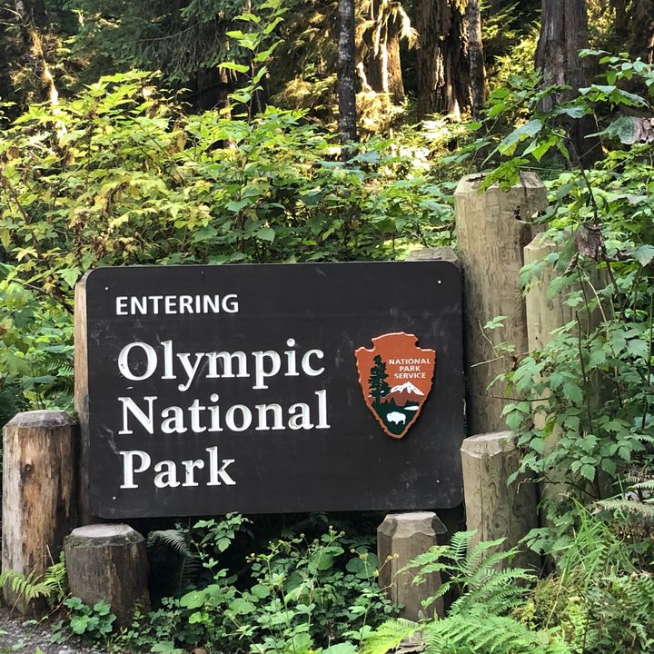 Exploring Olympic National Park - Debbie Stone on Big Blend Radio