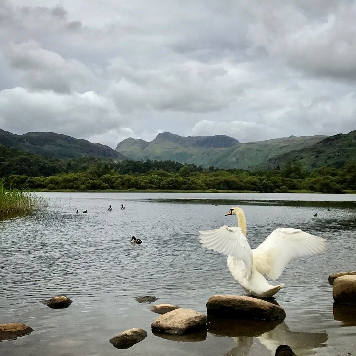 Running in the Lake District