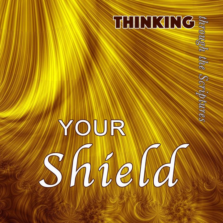 Your Shield (TTTS #4)