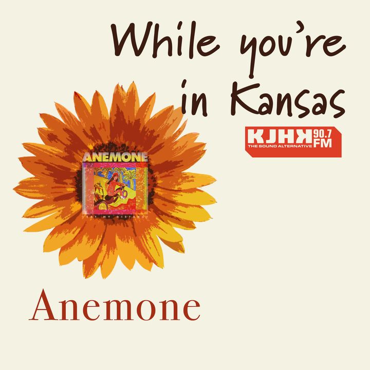 While you're in Kansas: Anemone