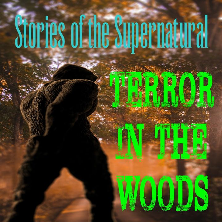 Terror in the Woods | Interview with WJ Sheehan | Podcast