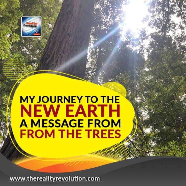 A Message From The Trees My Journey To The New Earth