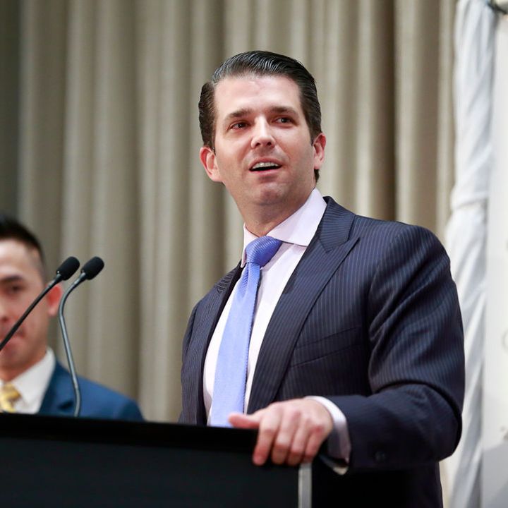 Donald Trump Jr.'s Meeting with the Russian Attorney