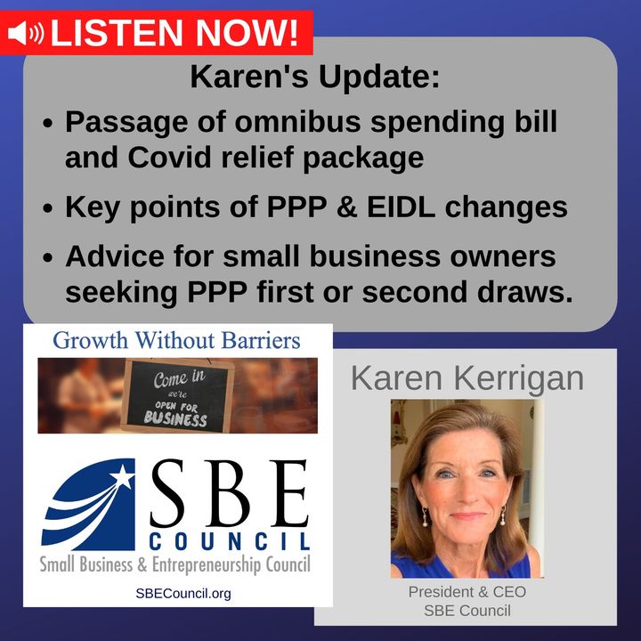Congress passes omnibus spending bill, Covid relief package, 1st & 2nd PPP draws, EIDL updates.