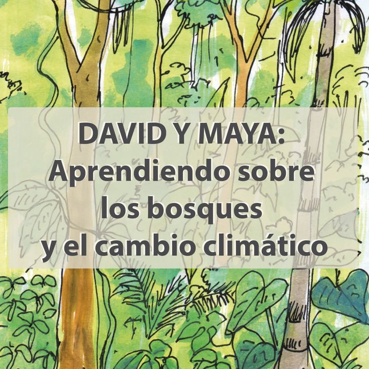 David y Maya: El mecanismo de REDD+ y sus implicancias Perú