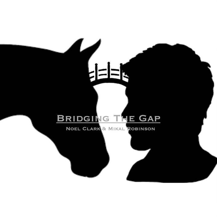 What does Bridging the Gap mean to us?
