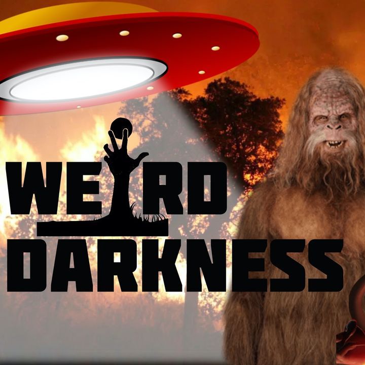 “UFOs, BIGFOOT, GHOSTS and PARANORMAL FOREST FIRES” and more Creepy TRUE Stories! #WeirdDarkness