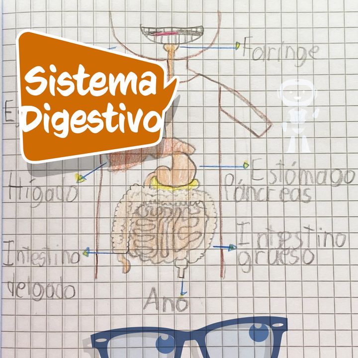 ¿Qué es y cómo funciona el sistema digestivo, del cuerpo humano? (Explicación para niños)