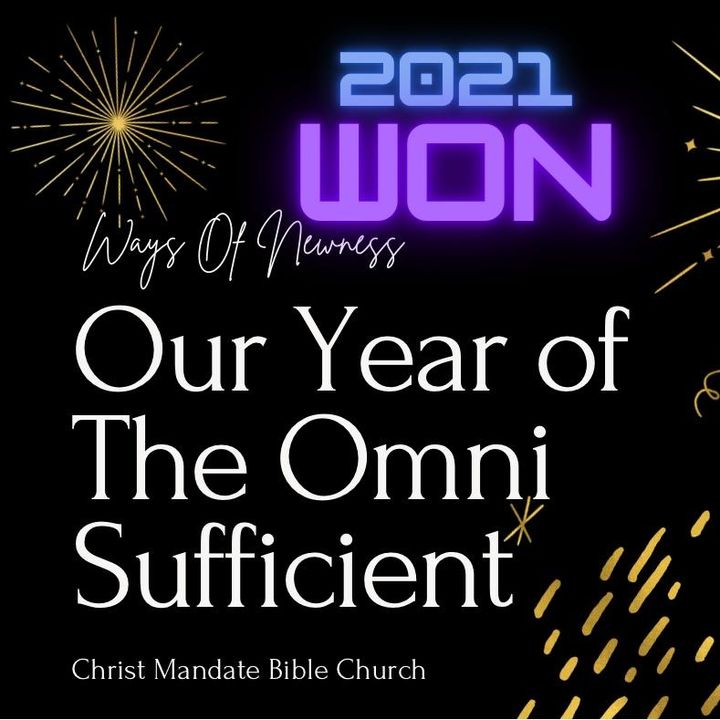 Our Year Of The Omni Sufficient