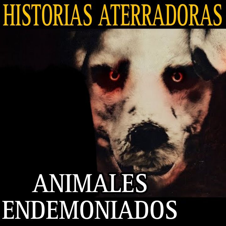 CUIDE A UN GATO QUE ERA UTILIZADO EN BRUJERIA / MARATON DE RELATOS DE ANIMALES ATERRADORES / L.C.E.