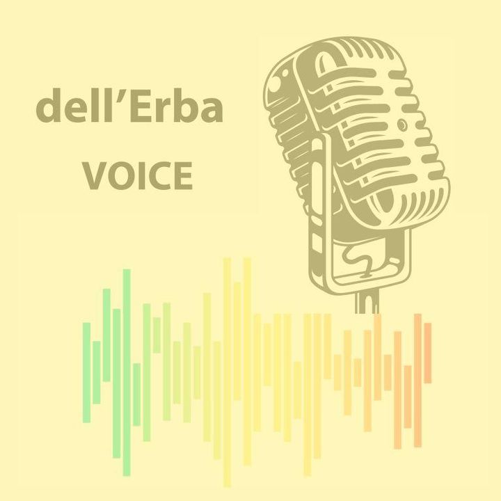 Dell'Erba VOICE: la radio WEB