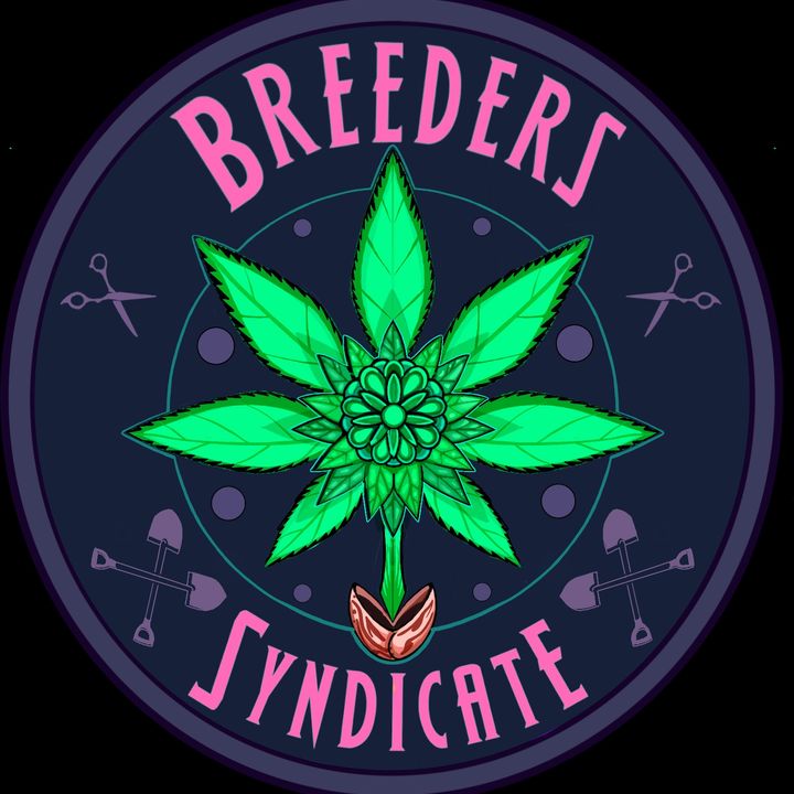 Breeders Syndicate 2.0 - Hobby Breeding, Guerilla Growing, and Surviving Mendo in the 90's with Rings S05 E07