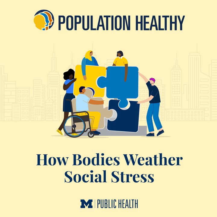 How Bodies Weather Social Stress