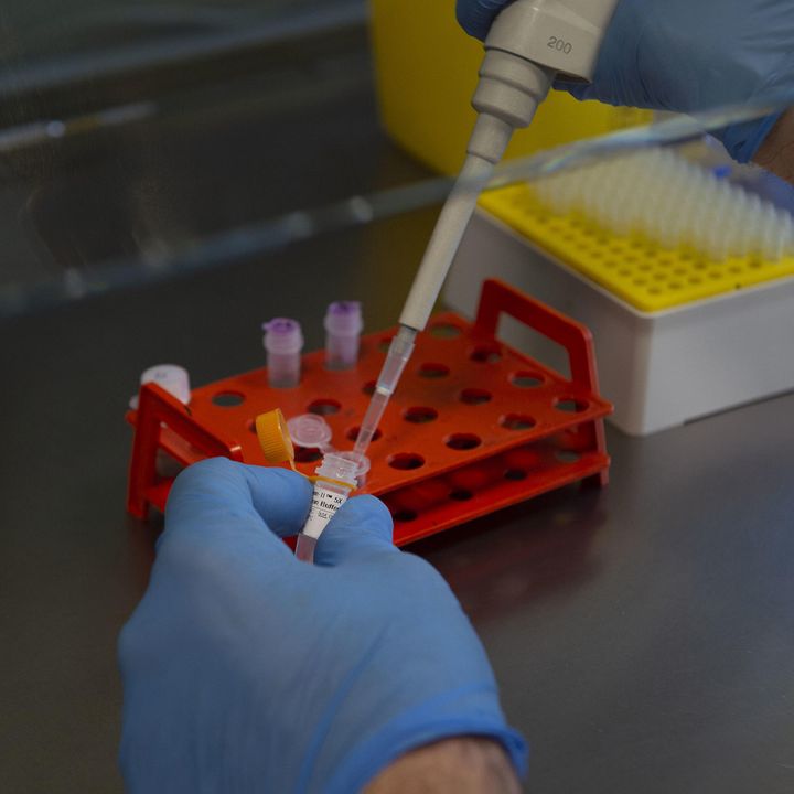 Coronavirus, vaccino sperimentale pronto per i test