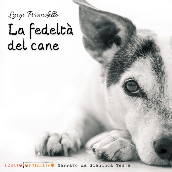 LUIGI PIRANDELLO - La fedeltà del cane (estratto dall'audiolibro)