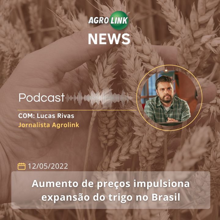 Brasil e Egito negociam aumento no comércio agrícola