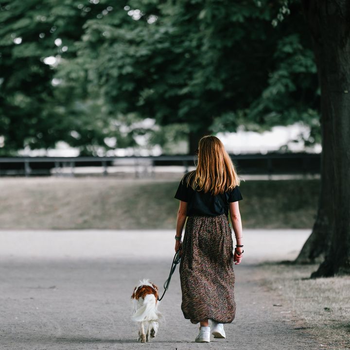 Dont Let Your Dog Walk You