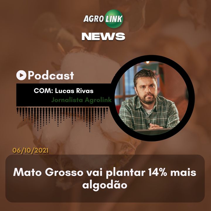 Podcast: Área de soja deve crescer 3% no Rio Grande do Sul