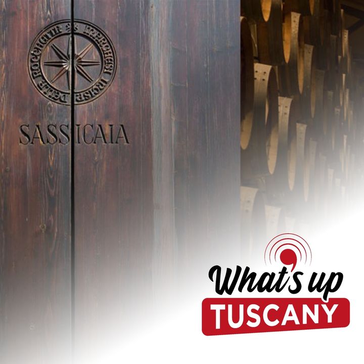 Sassicaia, il vino alieno che ha conquistato il mondo - Ep. 120