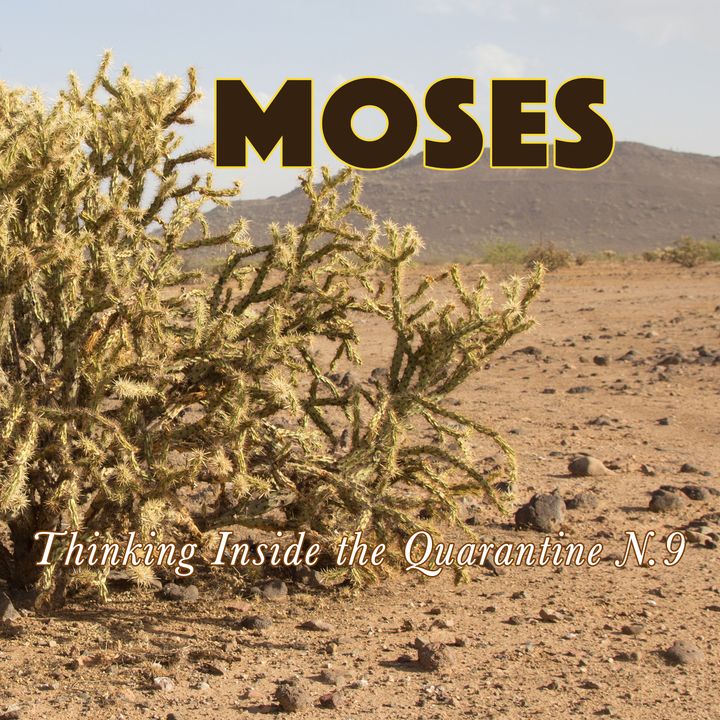 Moses (Thinking Inside the Quarantine #9)
