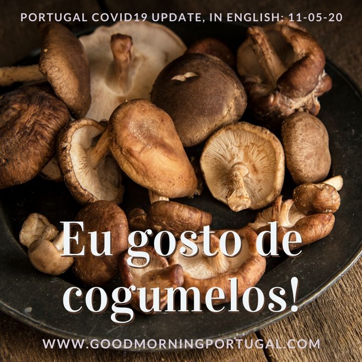 Covid (update), Communicating (in Portuguese) & Cogumelos (a mushroom unboxing!)