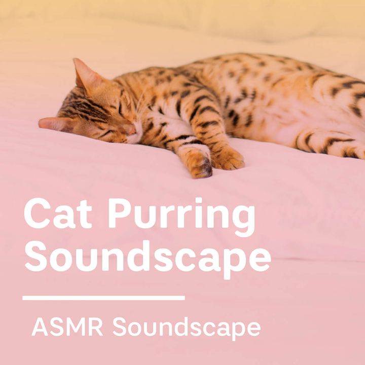 Cat Purring Soundscape