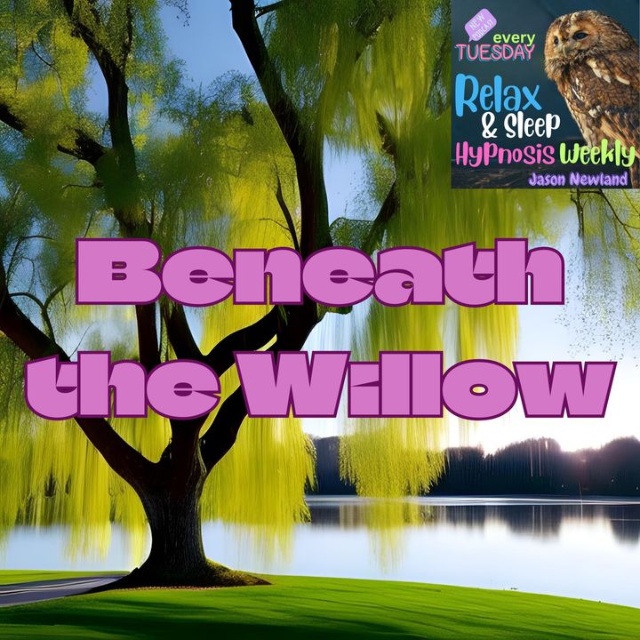 #201 Beneath the Willow: visualize resting beneath a strong, serene willow tree (Jason Newland)