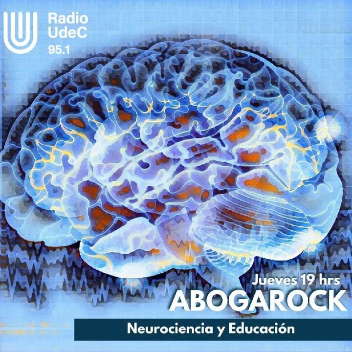 Neurociencia Y Educación