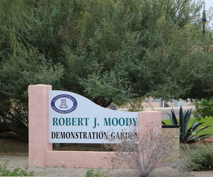 Robert J. Moody Demonstration Garden in Yuma, AZ - Marylou Milstead and Bill Moody on Big Blend Radio