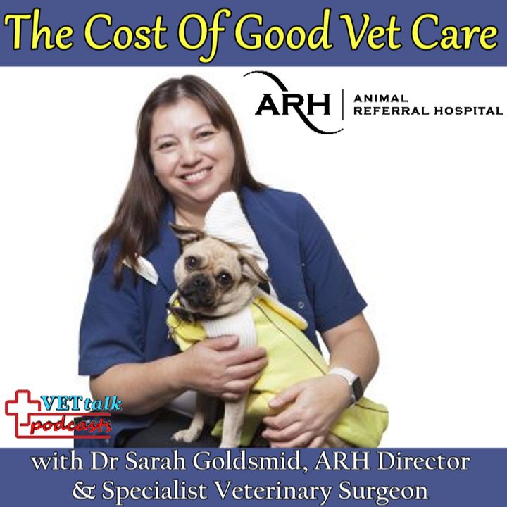 The Cost Of Good Veterinary Care