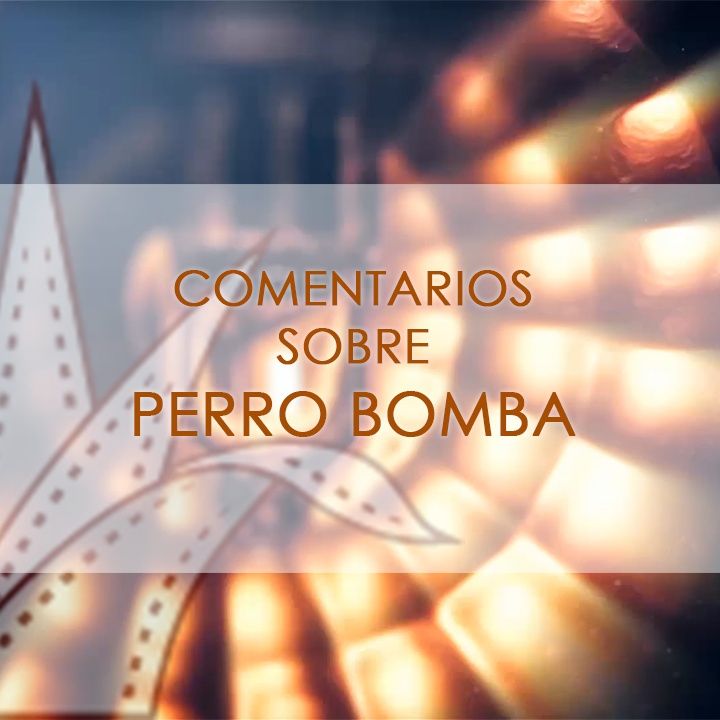 FICG 34.14 - Perro Bomba