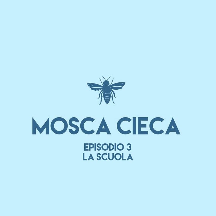 Mosca Cieca - episodio 3 (la scuola)