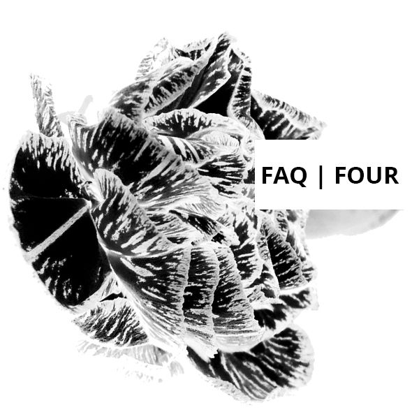 What Is The Other Fruit - Volume Four