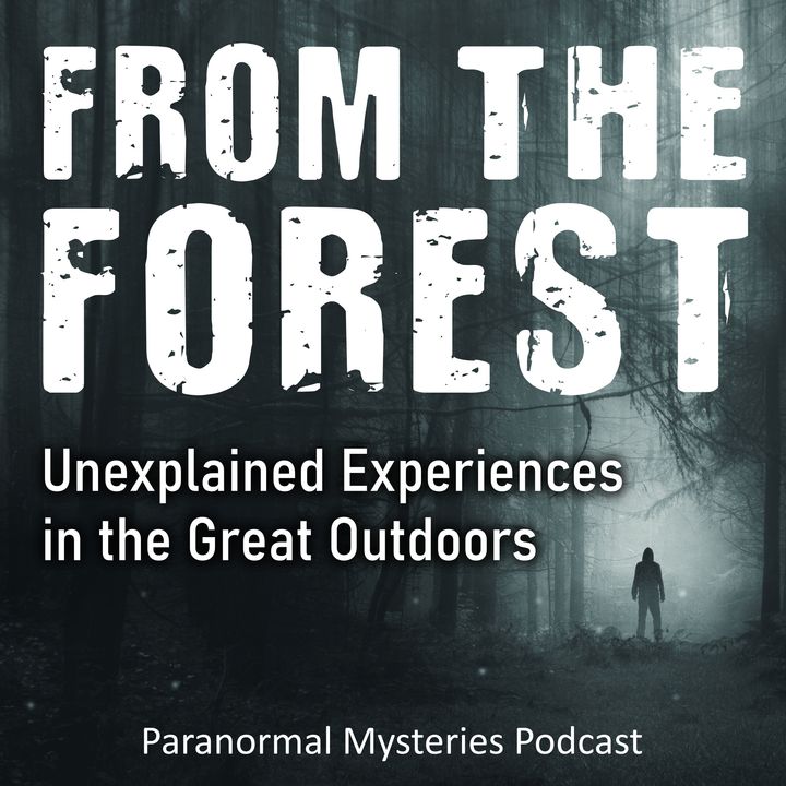#240 | From The Forest: Strange Creatures, Shadow People In The Woods, Ghosts | Paranormal Mysteries