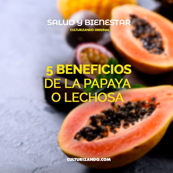 5 beneficios de la papaya o lechosa • Salud y Bienestar - Culturizando