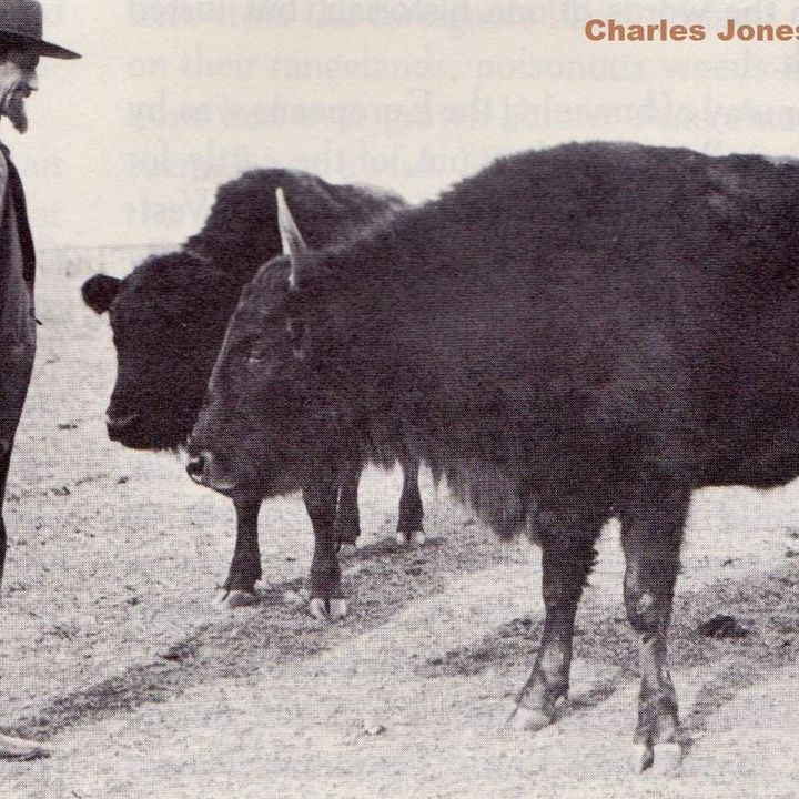 Buffalo Jones saves the last of the Buffalo